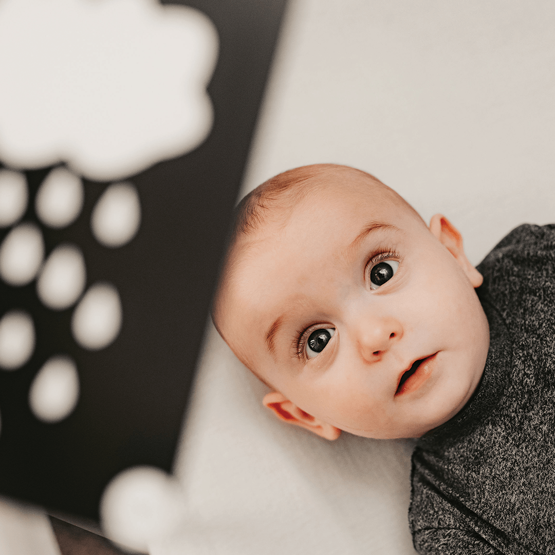 Priya & Peanut Sensory Flash Card Bundle