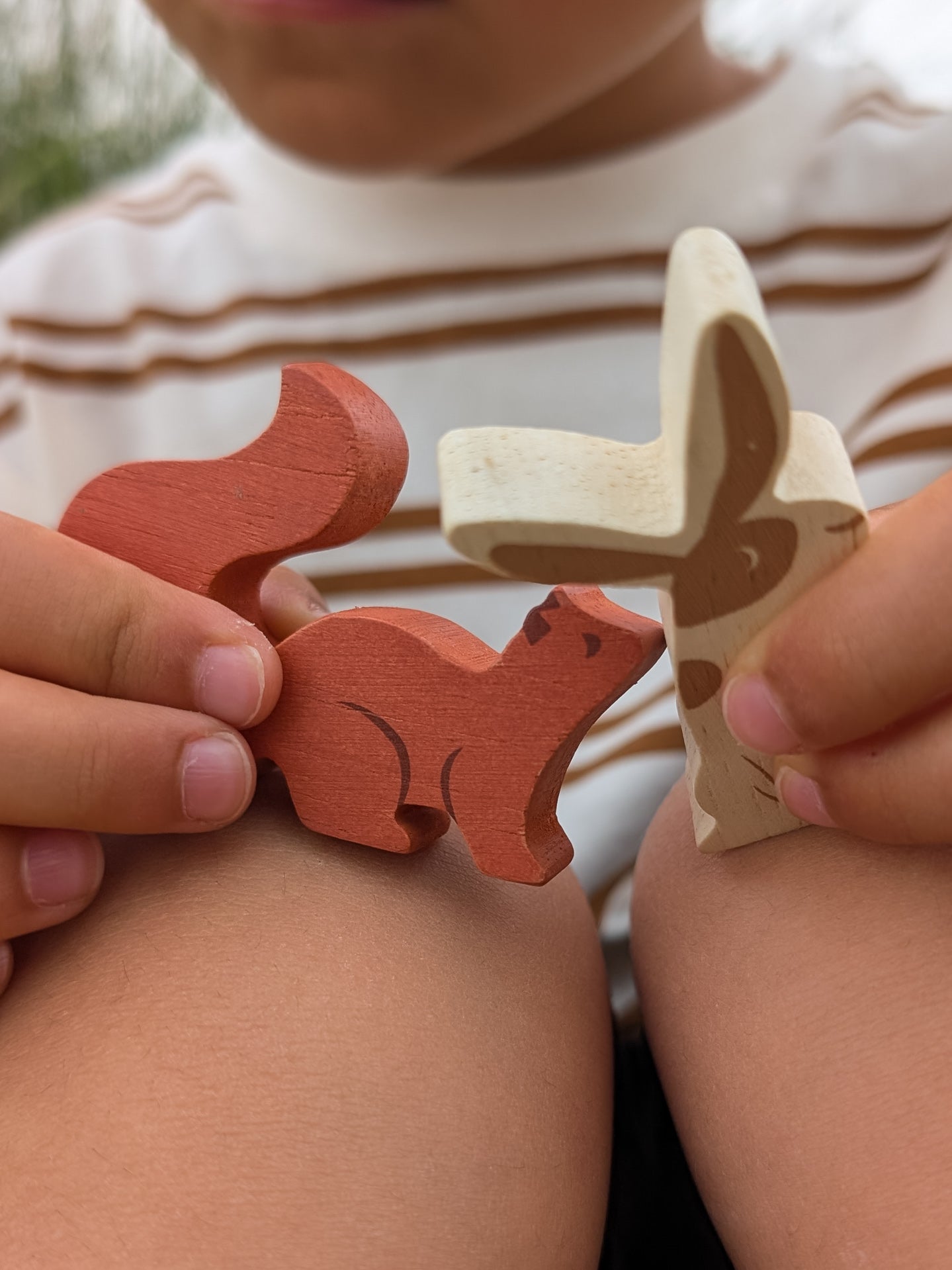 Wildlife Camping Wooden Playset