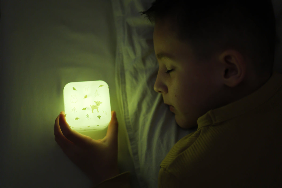 Cloud B Cube B Portable Nightlight - Forest