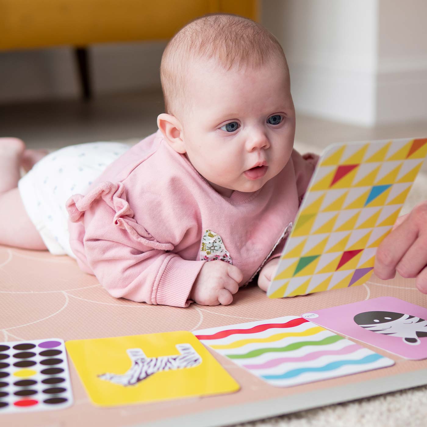 Priya & Peanut Sensory Flash Card Bundle