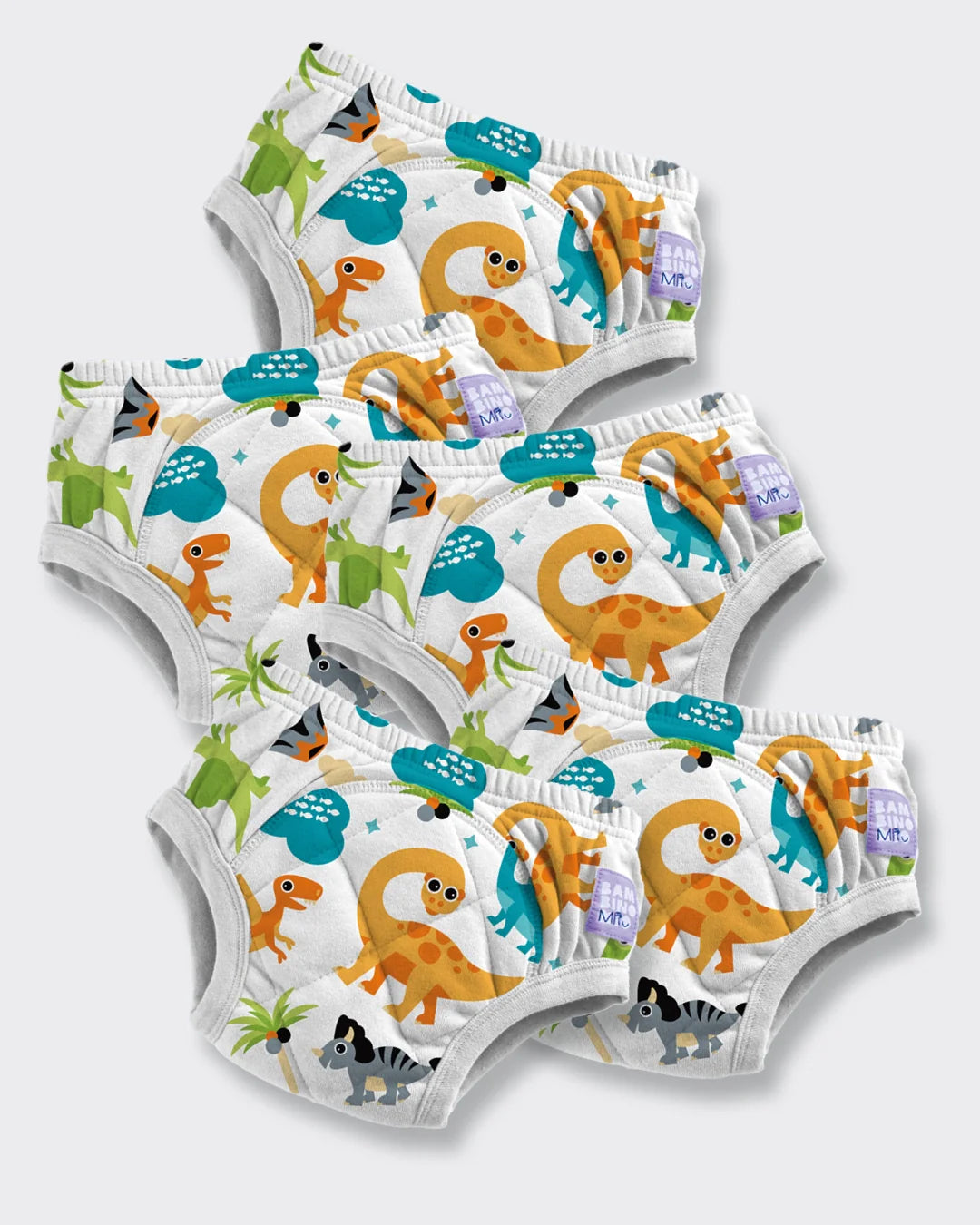 Reusable Potty Training Pants - 5 Pack
