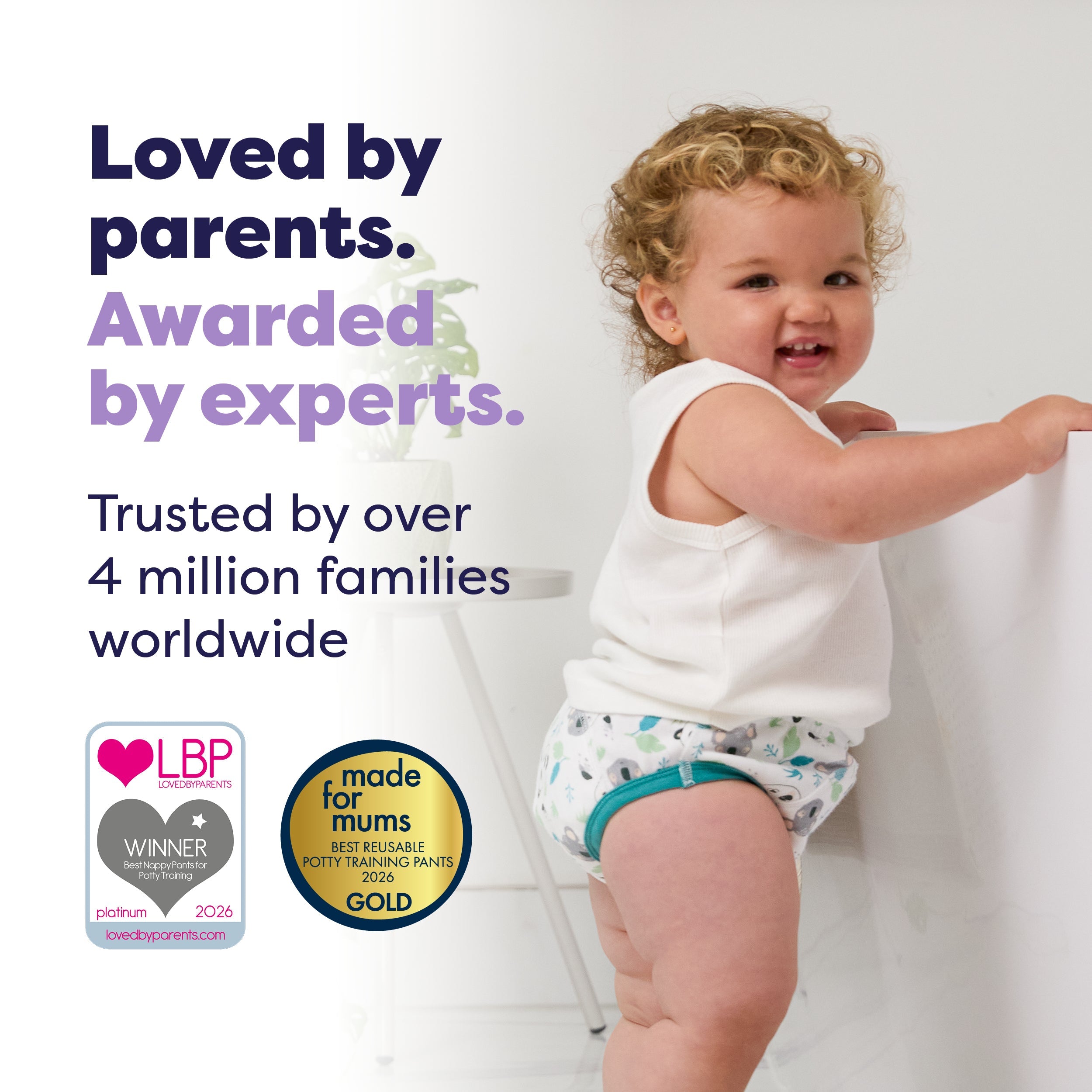 Bambino Mio Potty Training Essentials Bundle - Wildlife