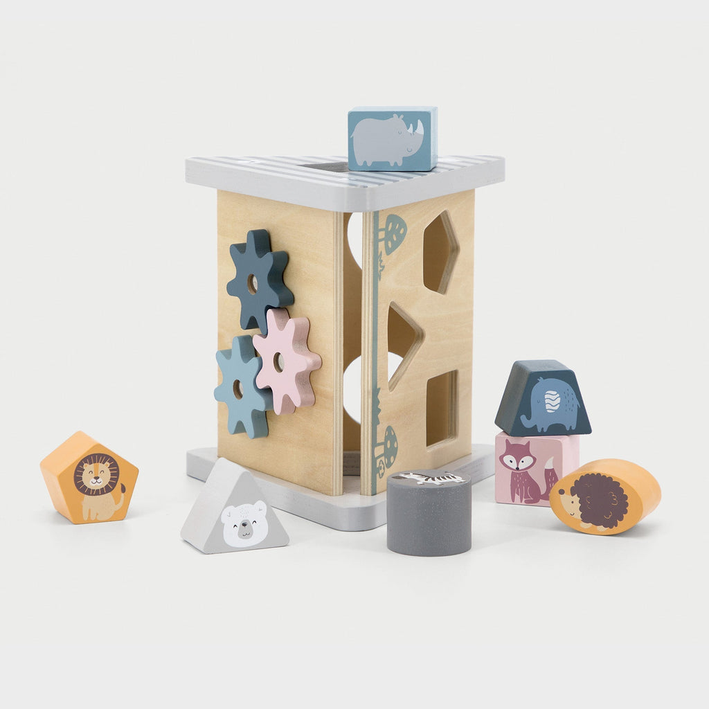 Wooden Shape Sorter & Gear Play