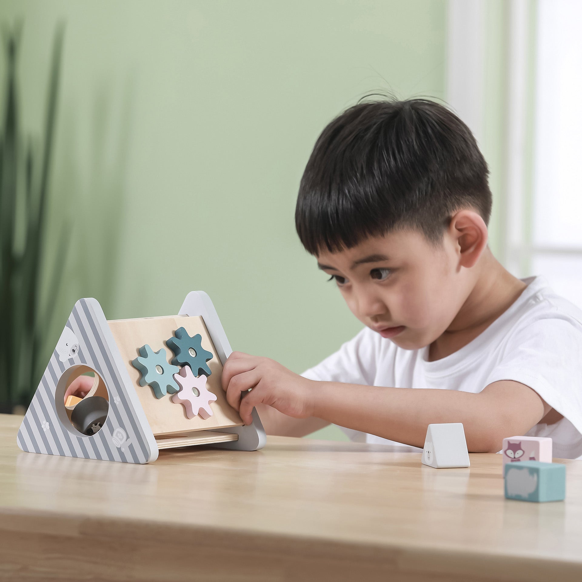Wooden Shape Sorter & Gear Play