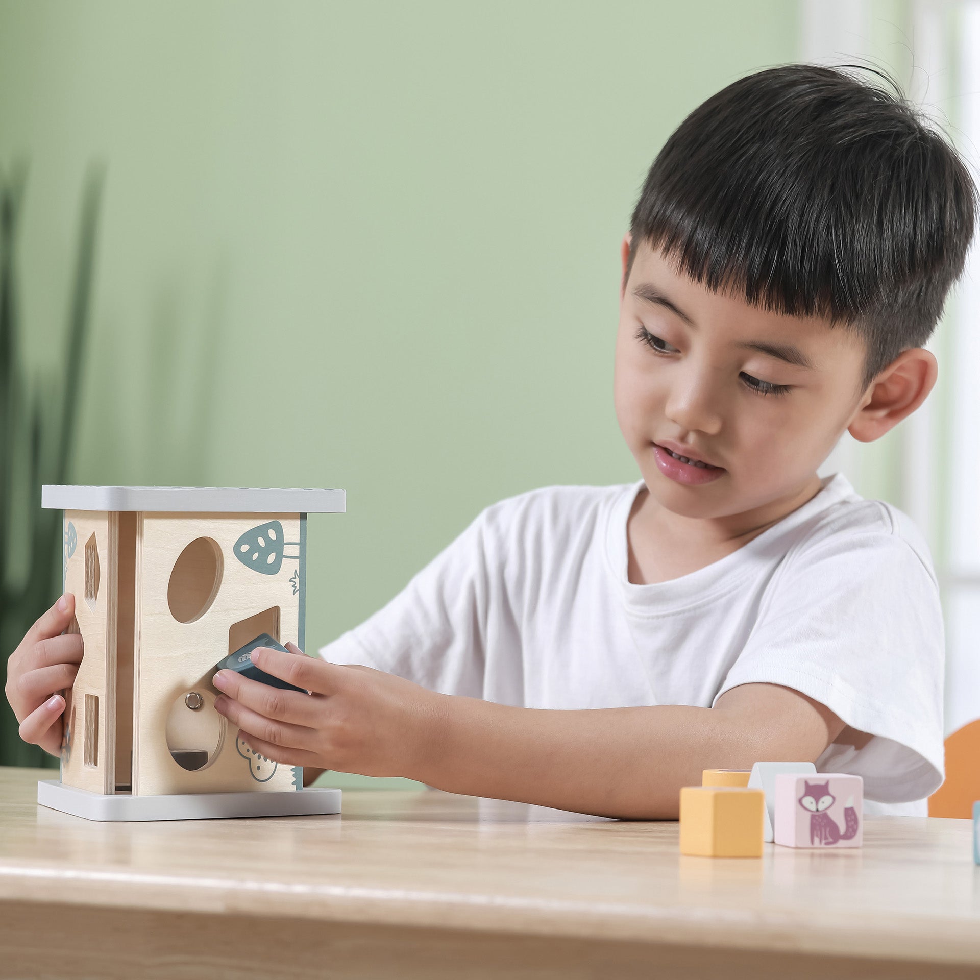Wooden Shape Sorter & Gear Play