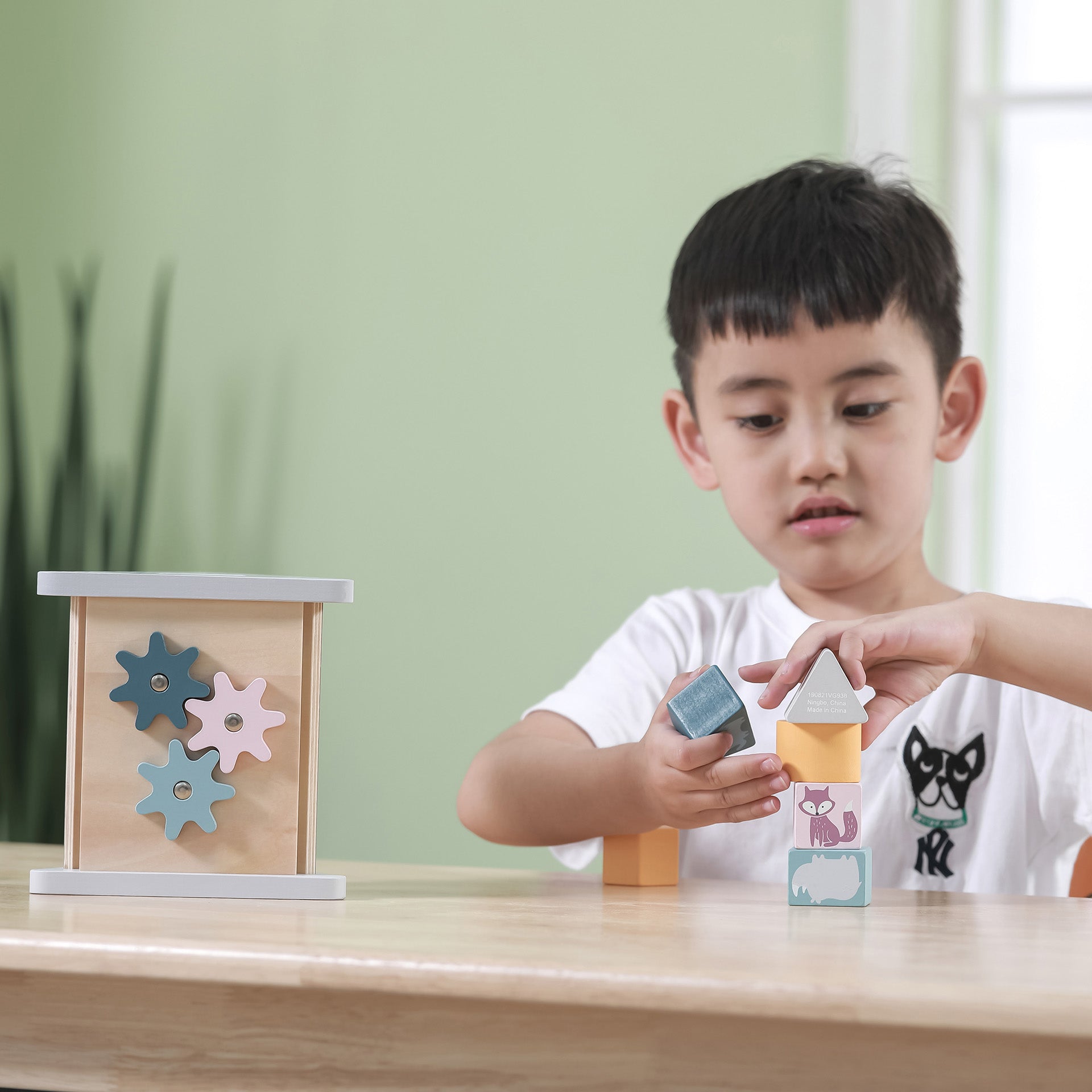 Wooden Shape Sorter & Gear Play