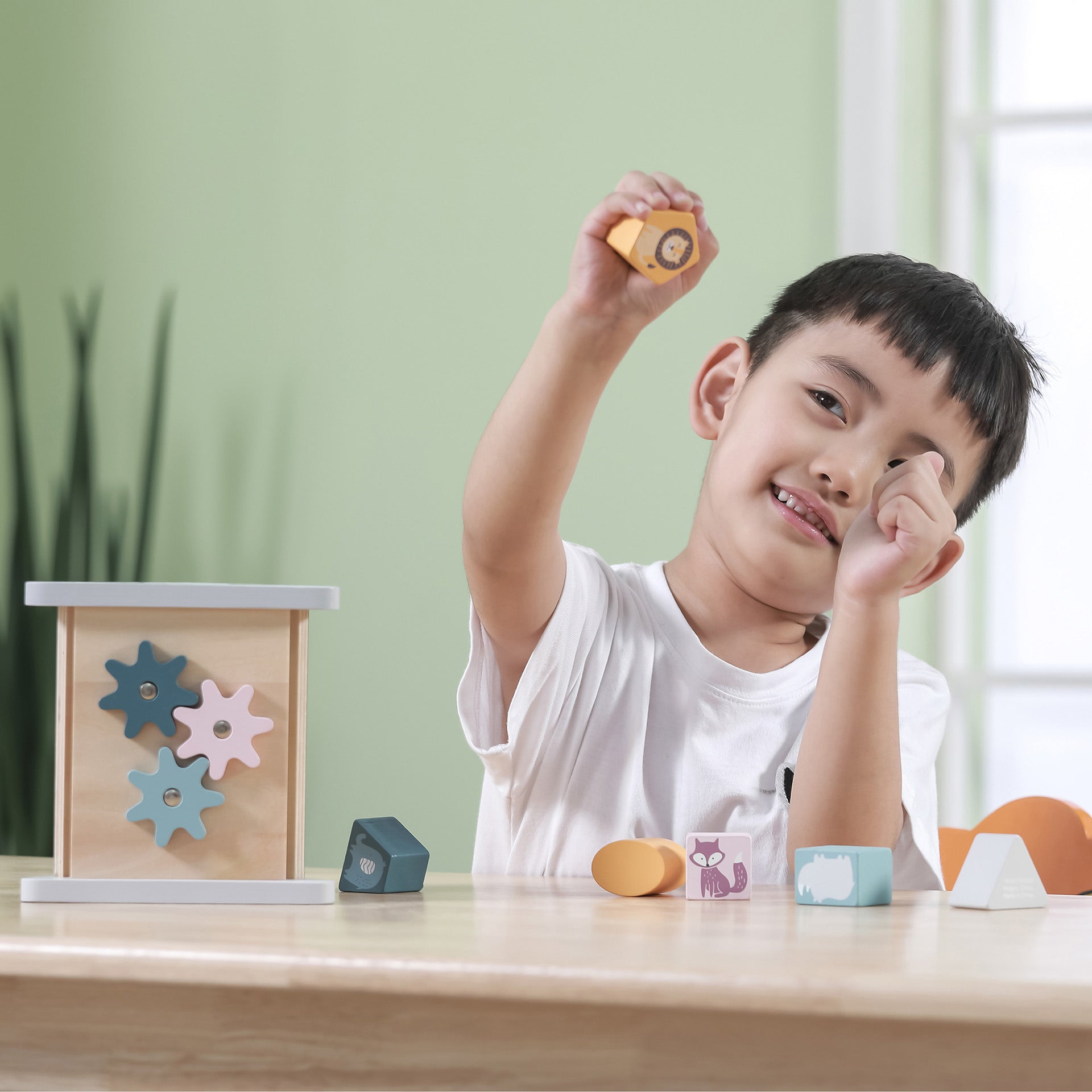 Wooden Shape Sorter & Gear Play