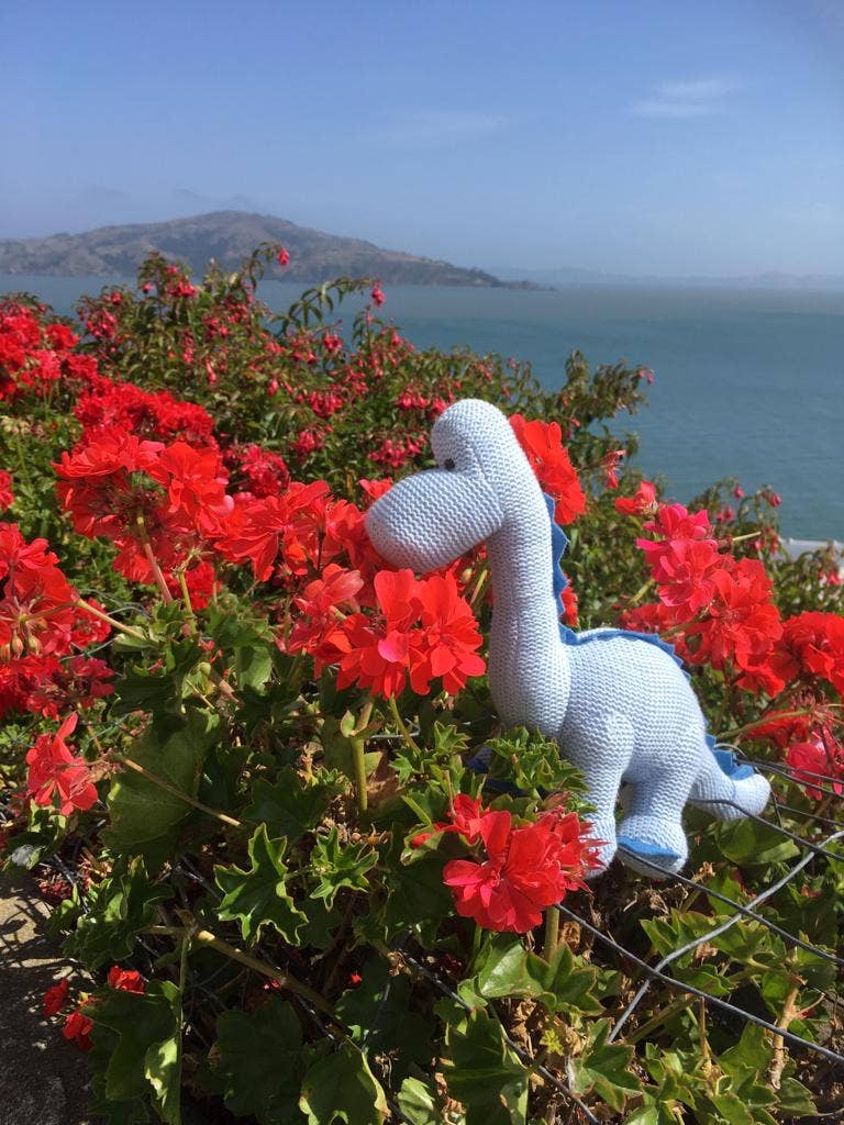 Best Years Ltd - Dinosaur Baby Rattle, Knitted Organic Cotton Blue Diplodocus