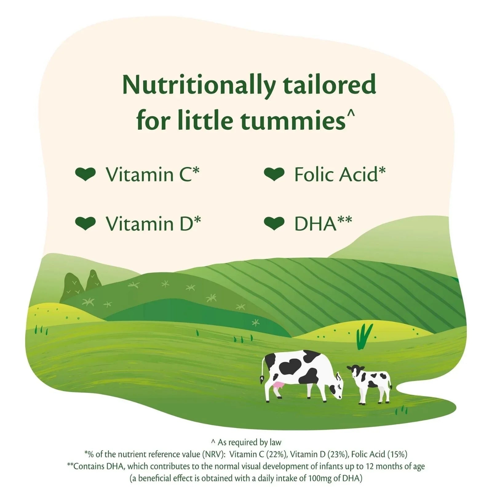 HiPP Organic 2 Follow on Baby Milk Formula - from 6+ months 800g