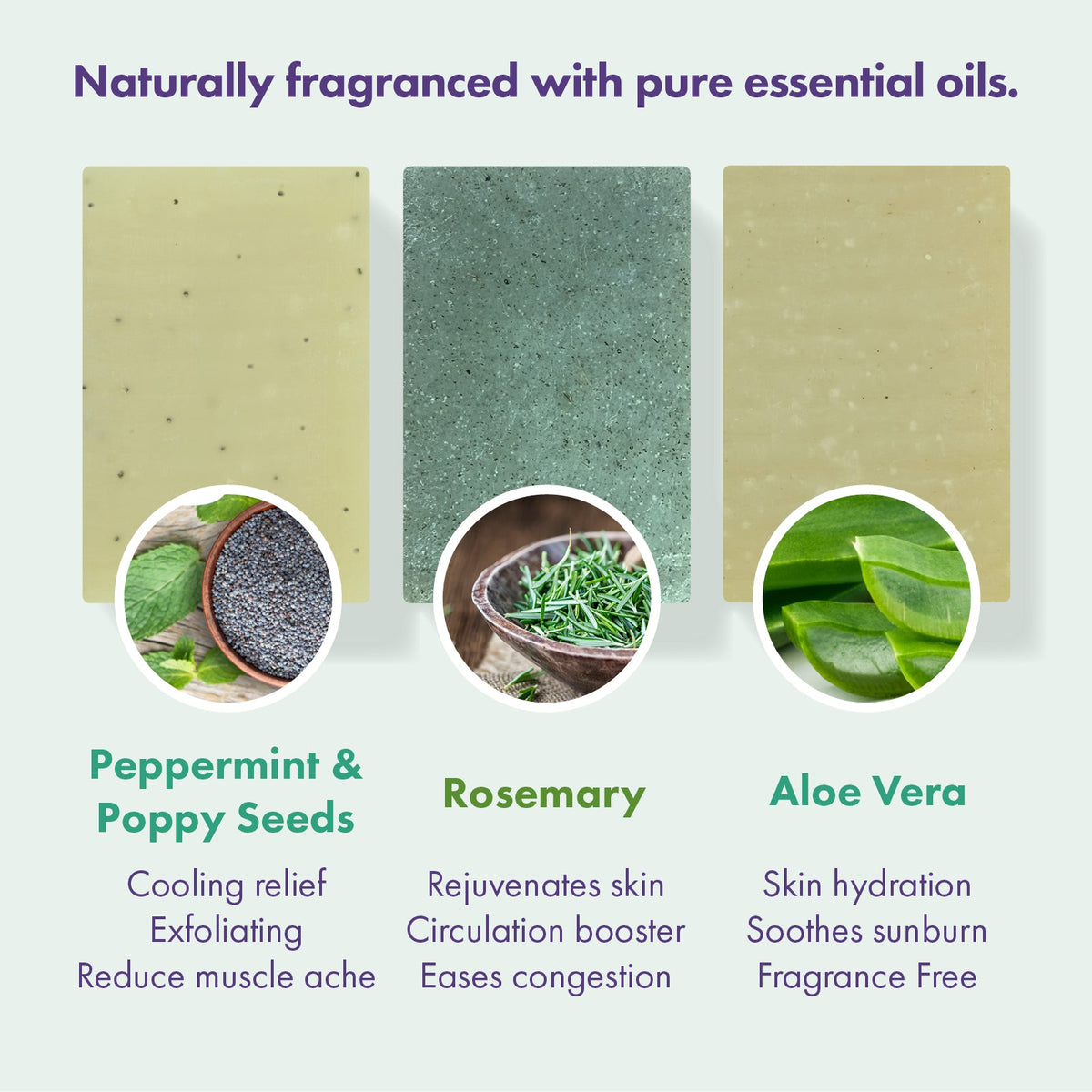 Friendly Soap - Soap Trio Gift Set - Peppermint & Poppy Seeds, Rosemary, Aloe Vera