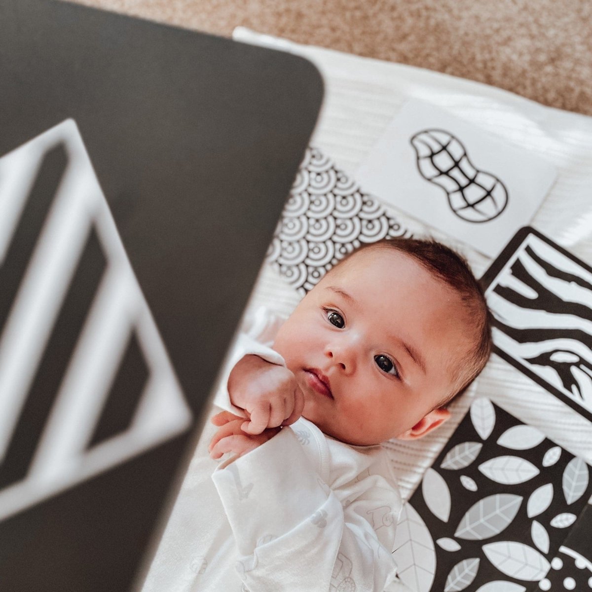 Priya & Peanut Sensory Flash Card Bundle
