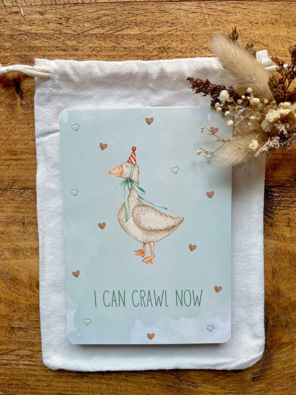 Little Goose Baby Milestone Cards