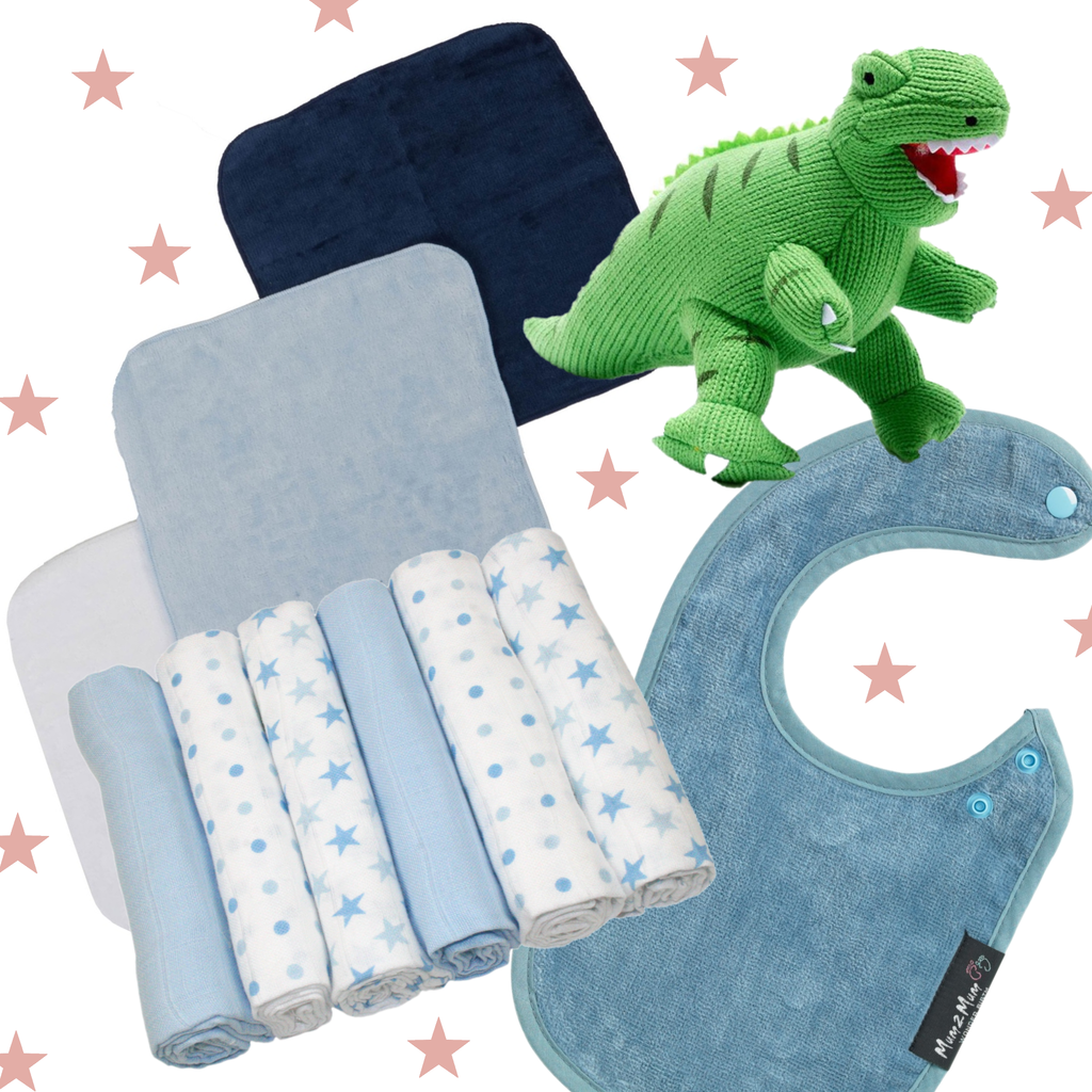 New Baby Gift Set with Soft Toy & Card - Blues