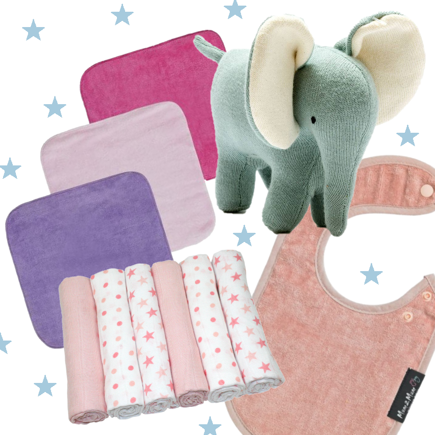 New Baby Gift Set with Soft Toy & Card - Pinks