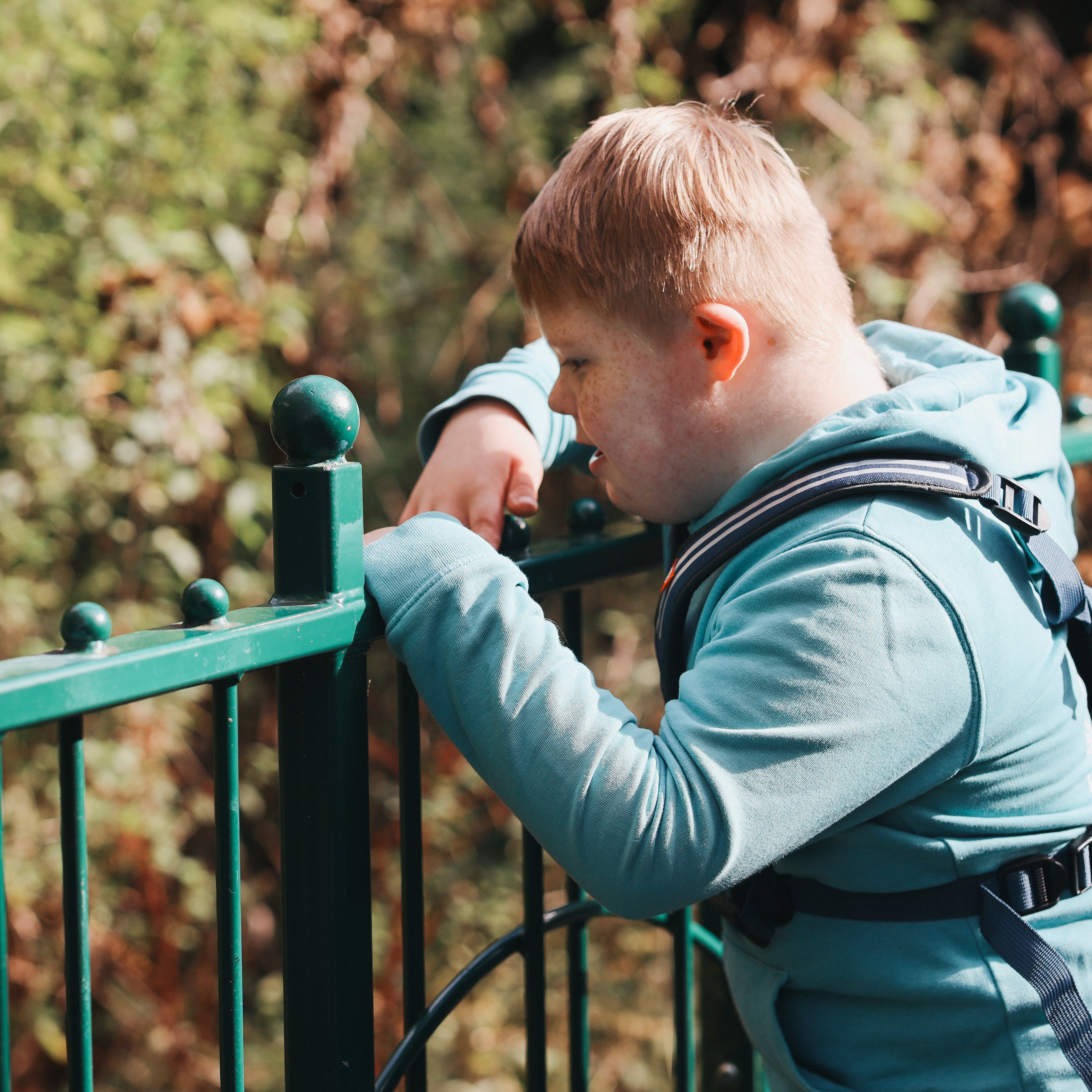 Hobbledehoo Child Harness - XL / 6 Years and Up - Blue