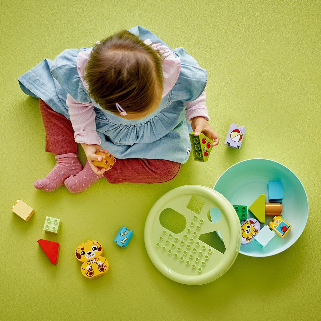 DUPLO My First Shape Sorter: Puppy House -10441