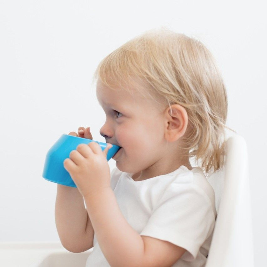 Doidy Cup