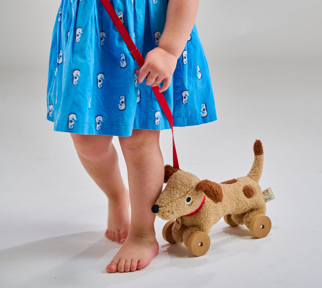 ThreadBear Design Dudley Pull Along Cuddly Dog