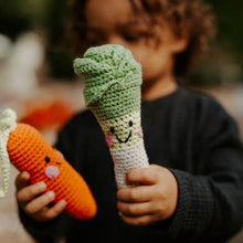 Friendly Vegetable Rattle Set -  Avocado, Radish, Leek and Pumpkin