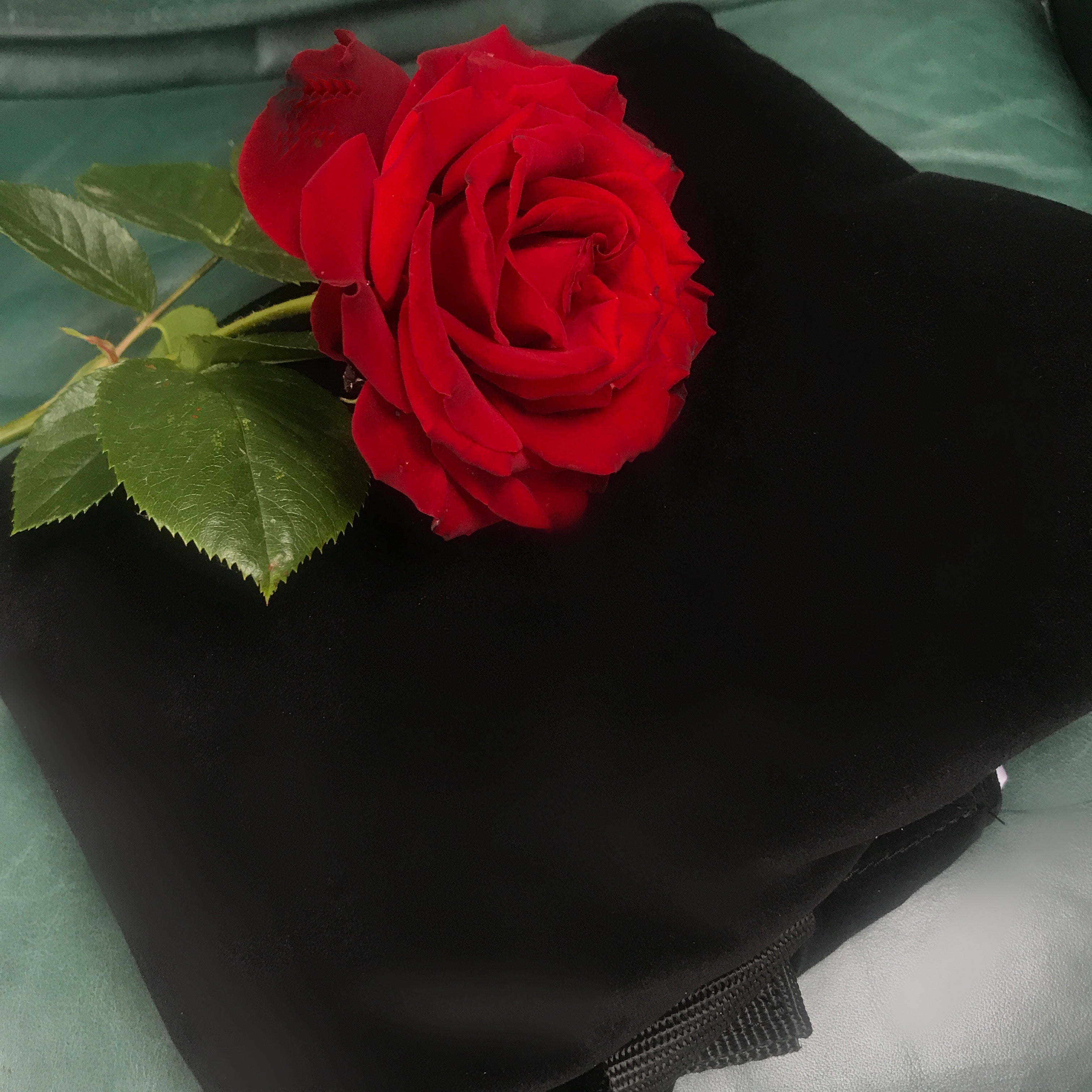 Integra Baby Carrier Size 2 (18 months to 3.5 years) - Black Velvet