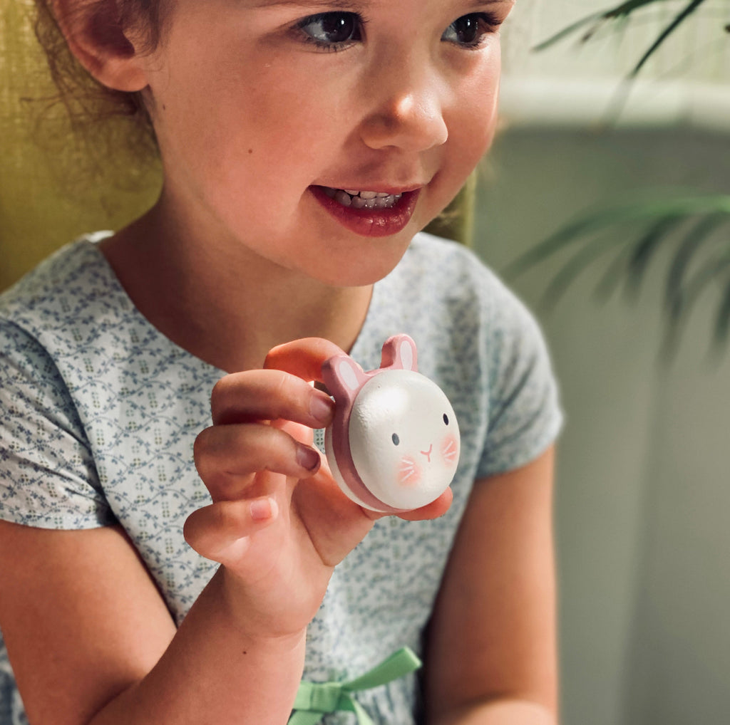 Tender Leaf Toys Wooden Animal Macarons