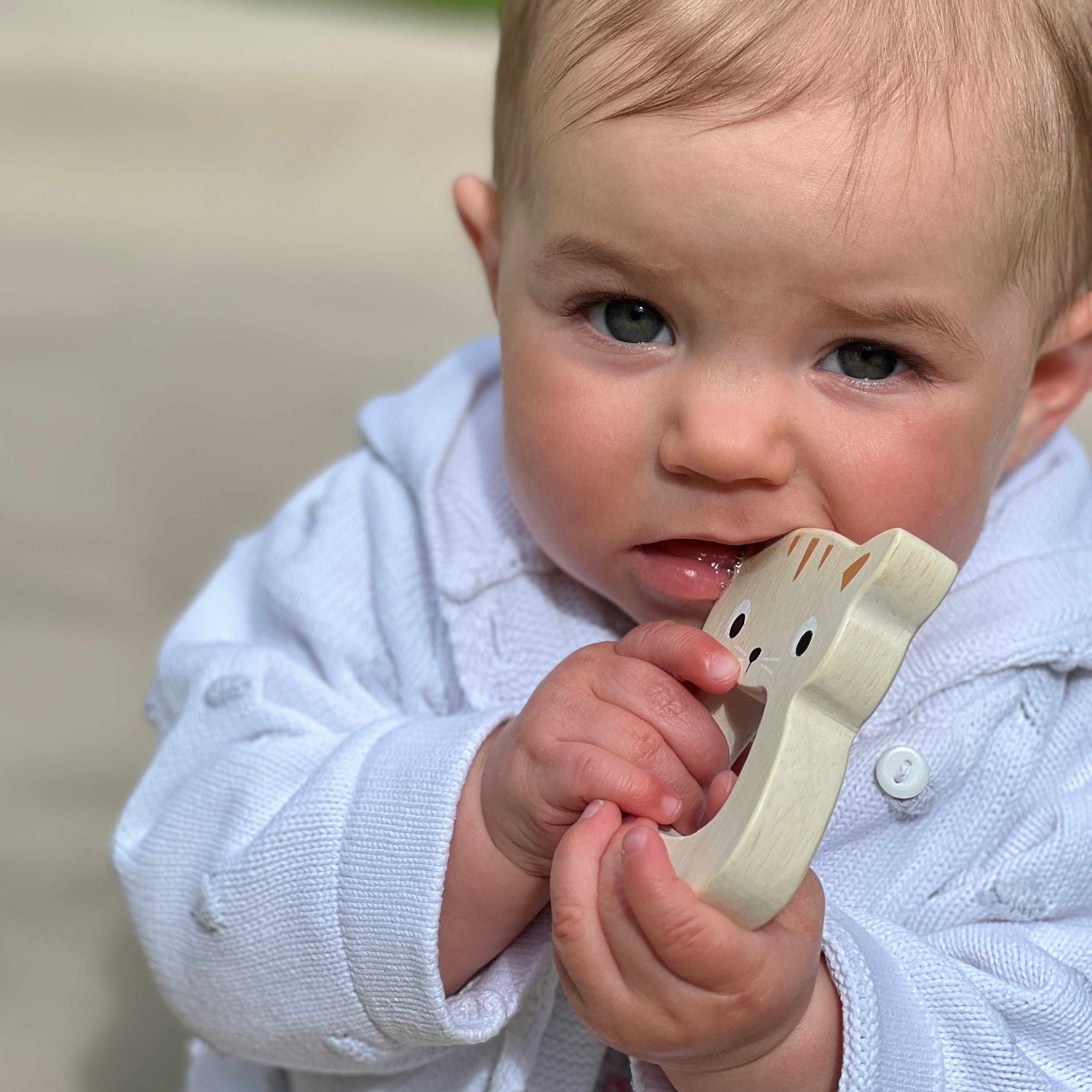 Mentari Wooden Bird & Kitten Teethers