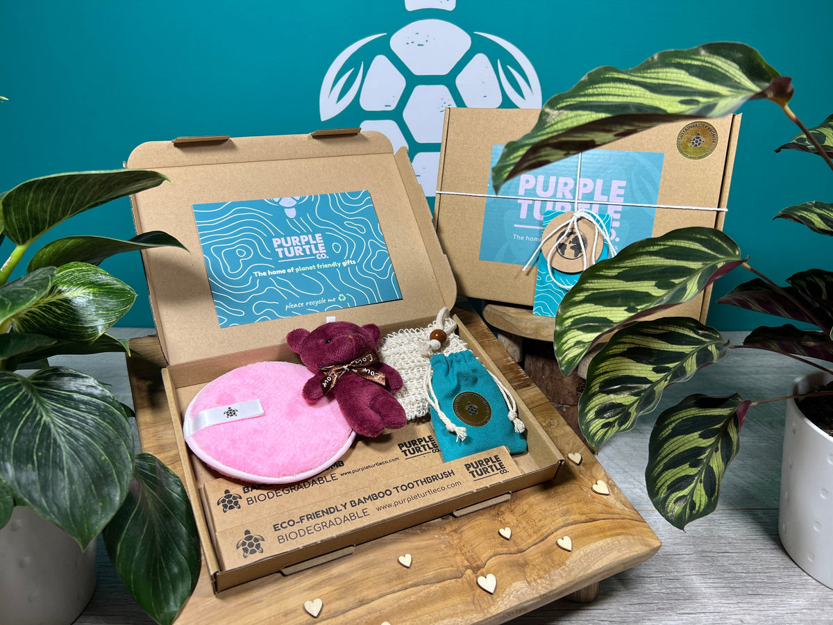 Purple Turtle - Pamper Queen Gift Set