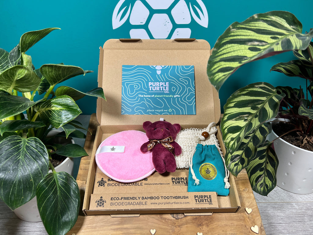 Purple Turtle - Pamper Queen Gift Set