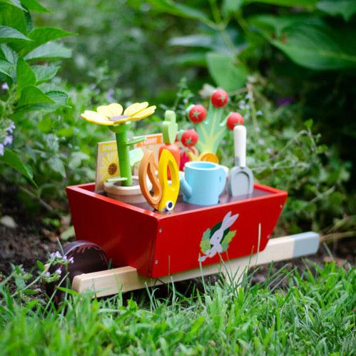 Wooden Garden Wheelbarrow Set with Plants & Tools