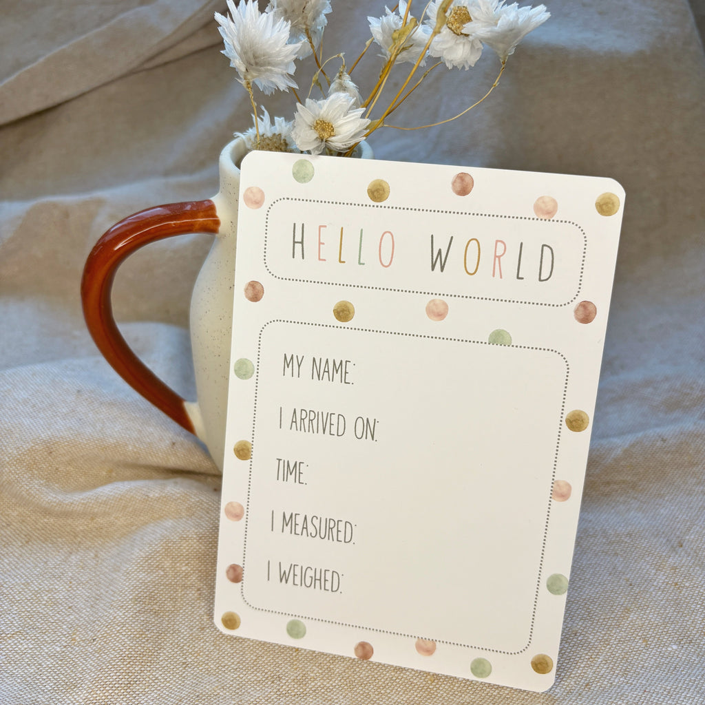 Little Goose Baby Milestone Cards