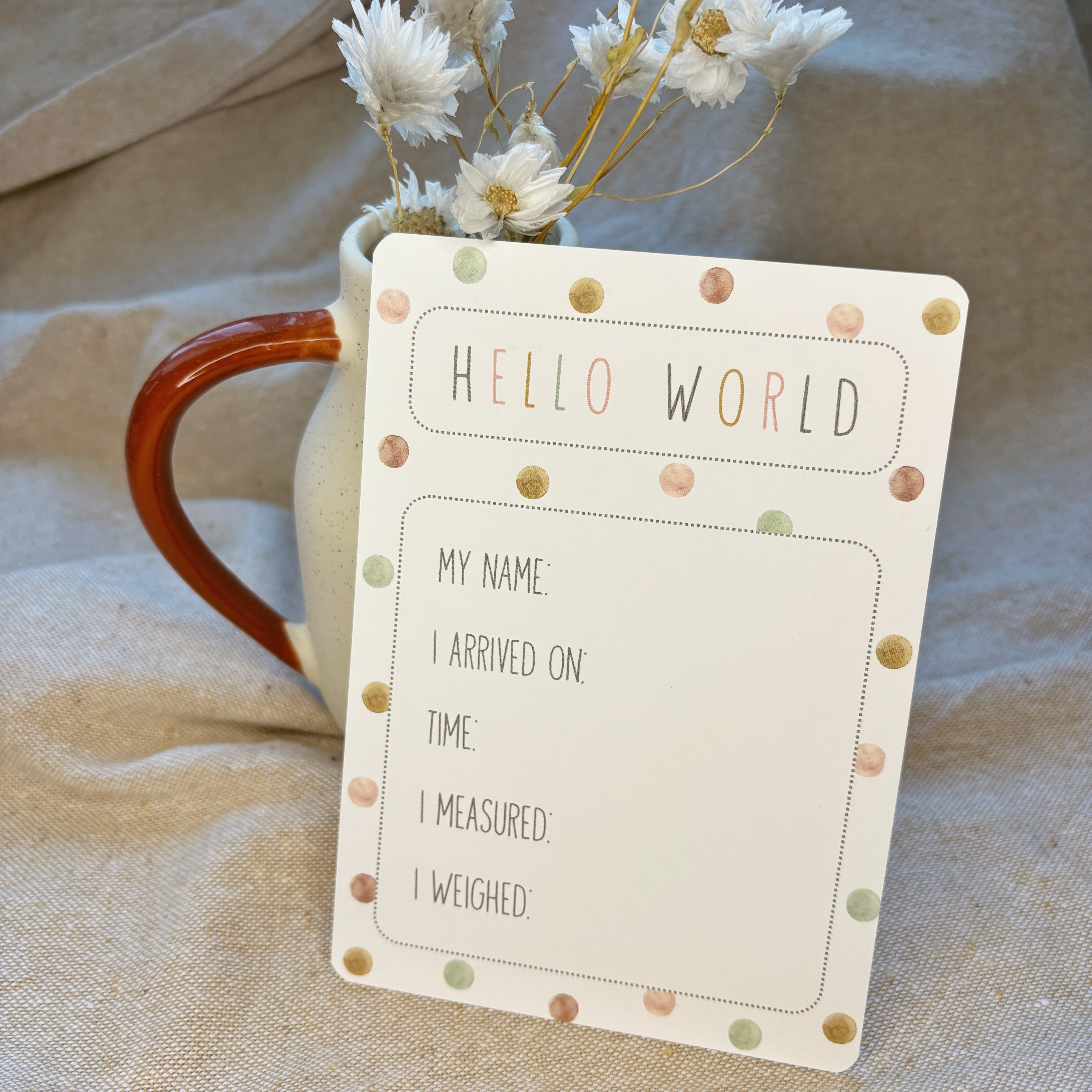 Little Goose Baby Milestone Cards