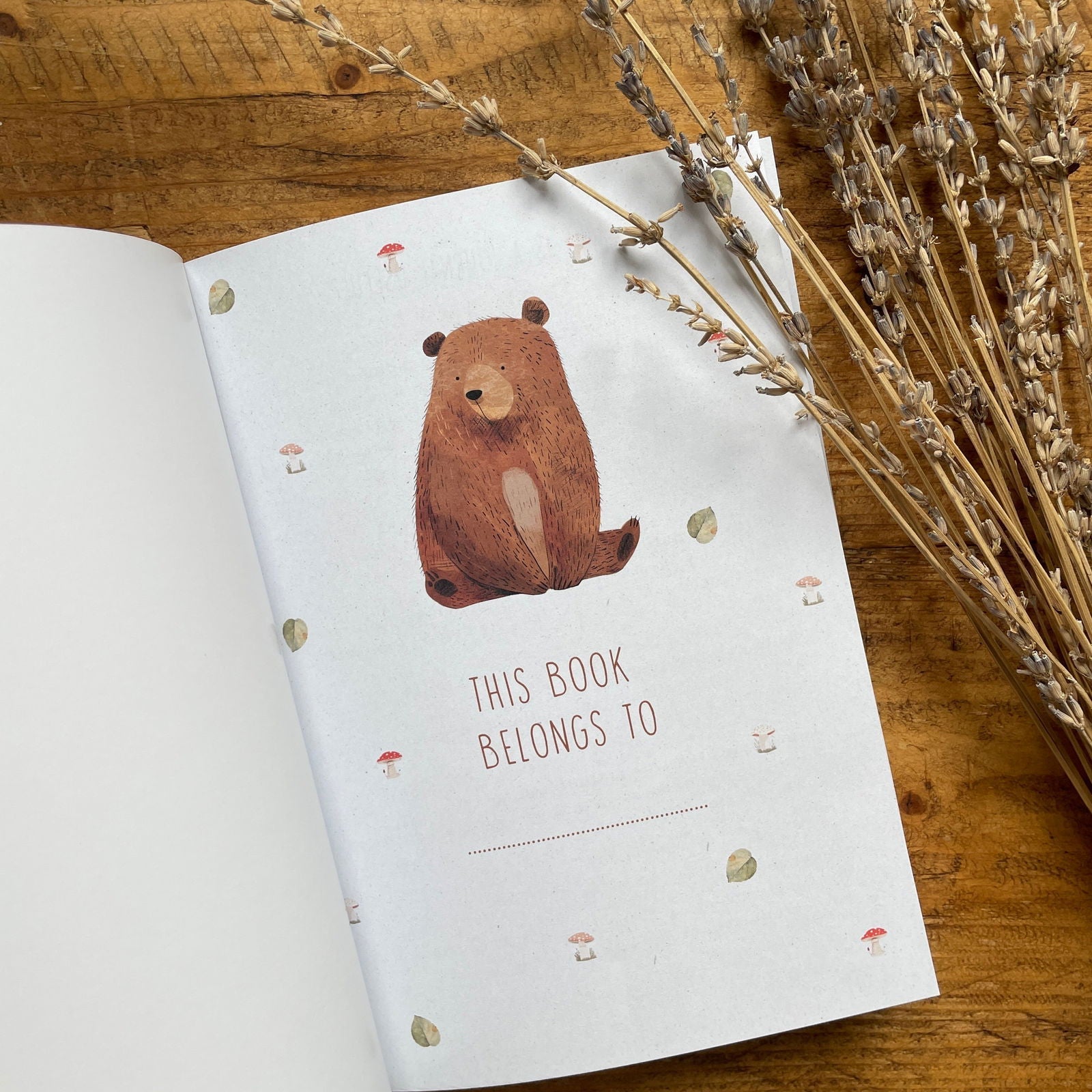 Little Goose Children's Journal