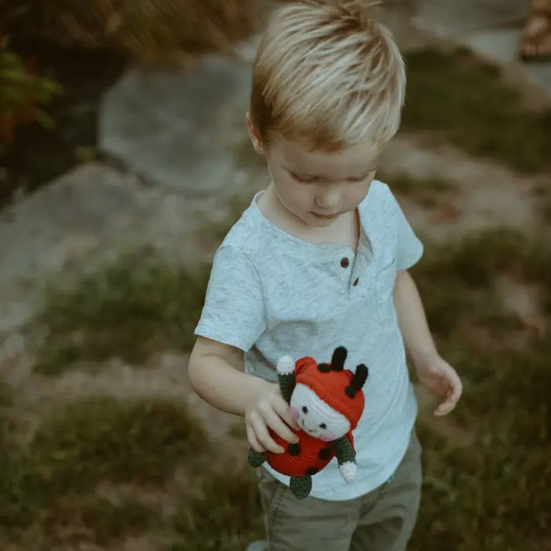 Minibeasts Crayon Set & Ladybird Rattle Gift Set