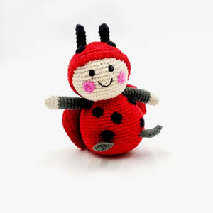Bundle - Ensemble de crayons Minibeasts et coffret cadeau hochet coccinelle 