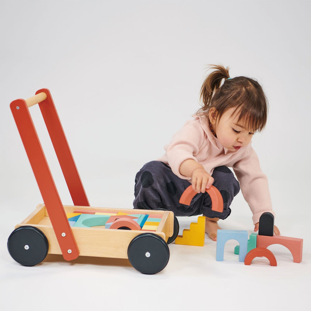 Bambino Wooden Blocks and Trolley