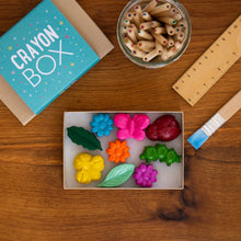 Paquete: juego de lápices de colores Minibeasts y sonajero Mariquita de regalo 