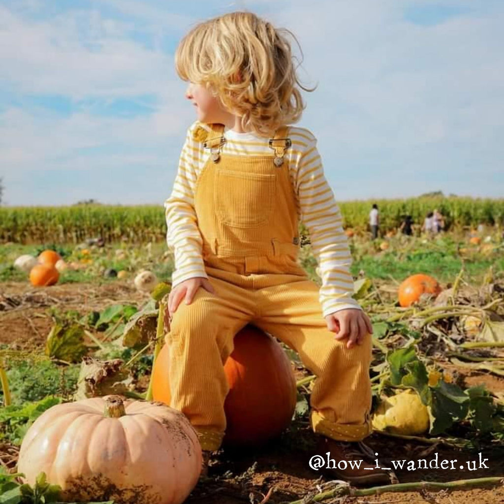 Dotty Dungarees Chunky Cord Dungarees - Ochre