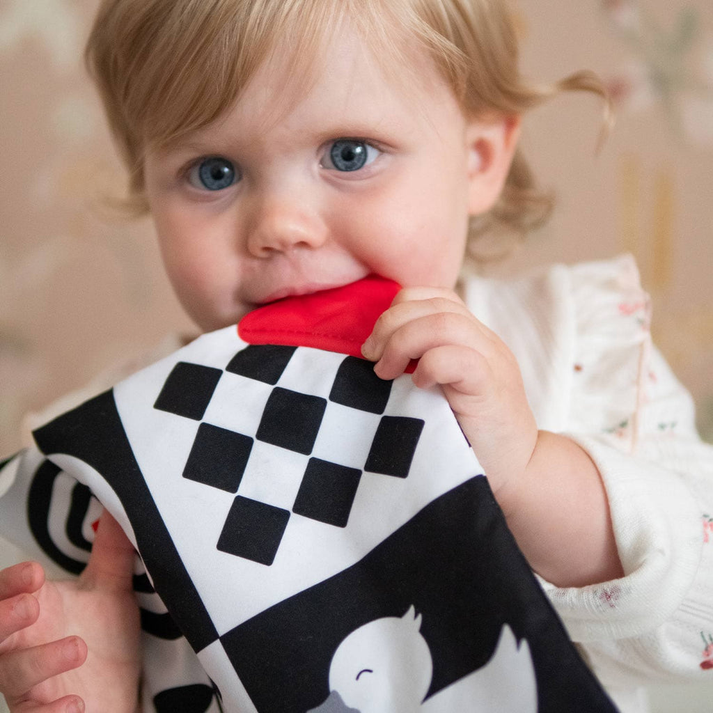 Priya & Peanut Sensory Crinkle Square