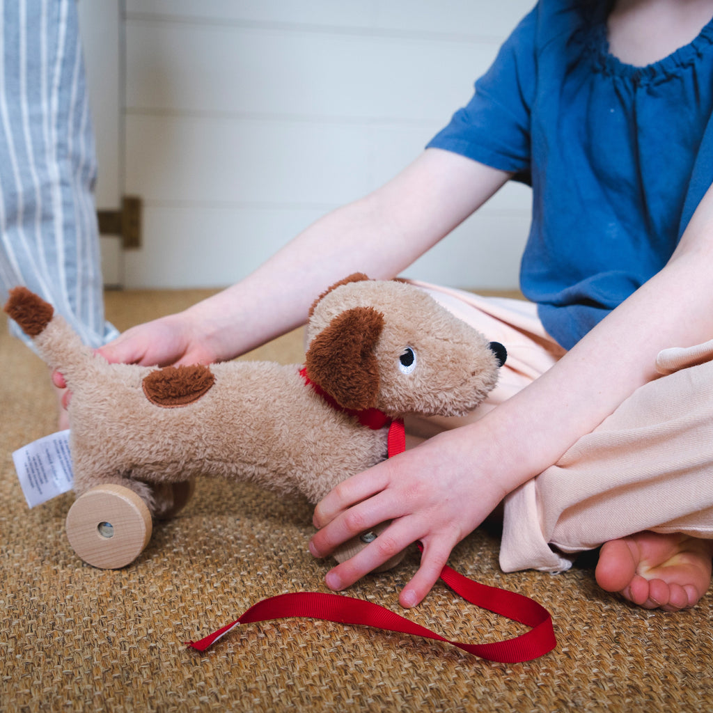 ThreadBear Design Dudley Pull Along Cuddly Dog