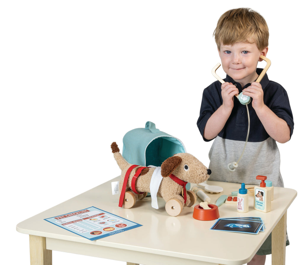 Wooden Animal Rescue Vet Playset