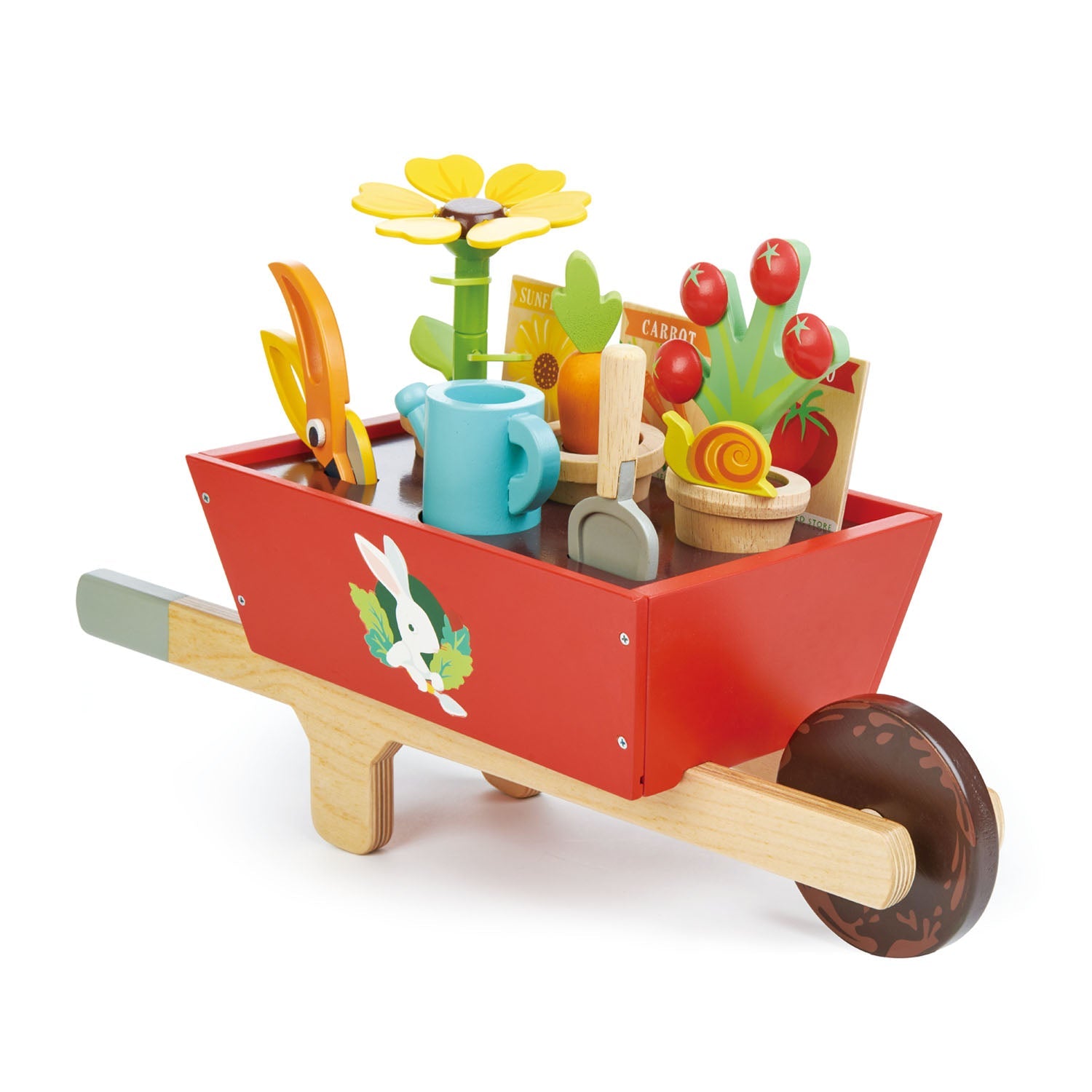 Wooden Garden Wheelbarrow Set with Plants & Tools