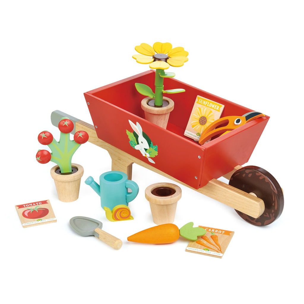 Wooden Garden Wheelbarrow Set with Plants & Tools