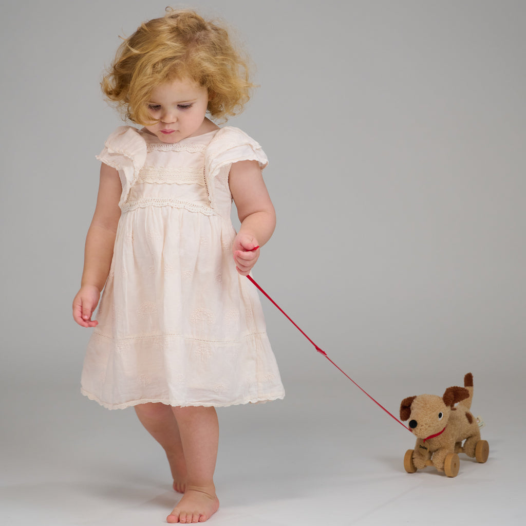 ThreadBear Design Dudley Pull Along Cuddly Dog