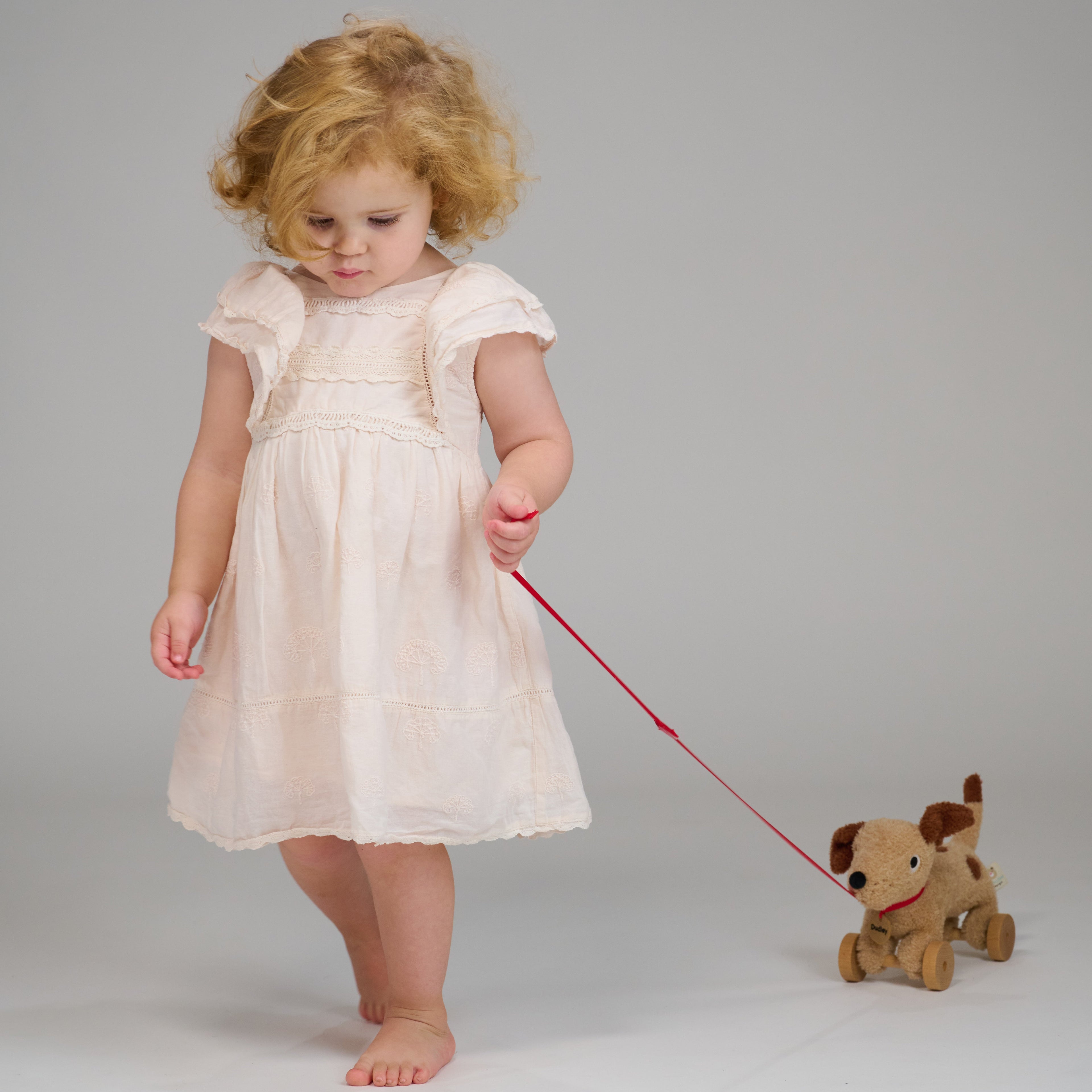 ThreadBear Design Dudley Pull Along Cuddly Dog