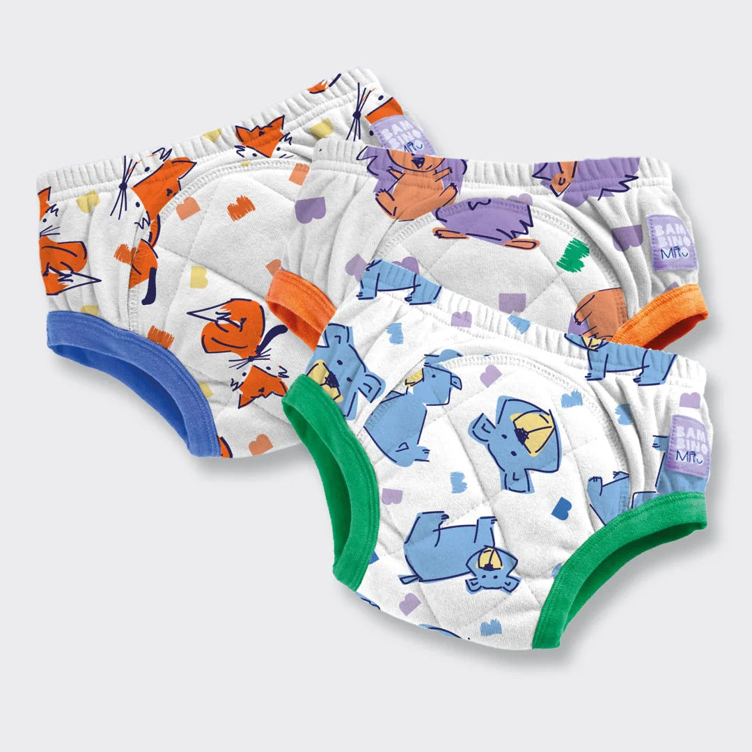 Reusable Potty Training Pants - 3 Pack