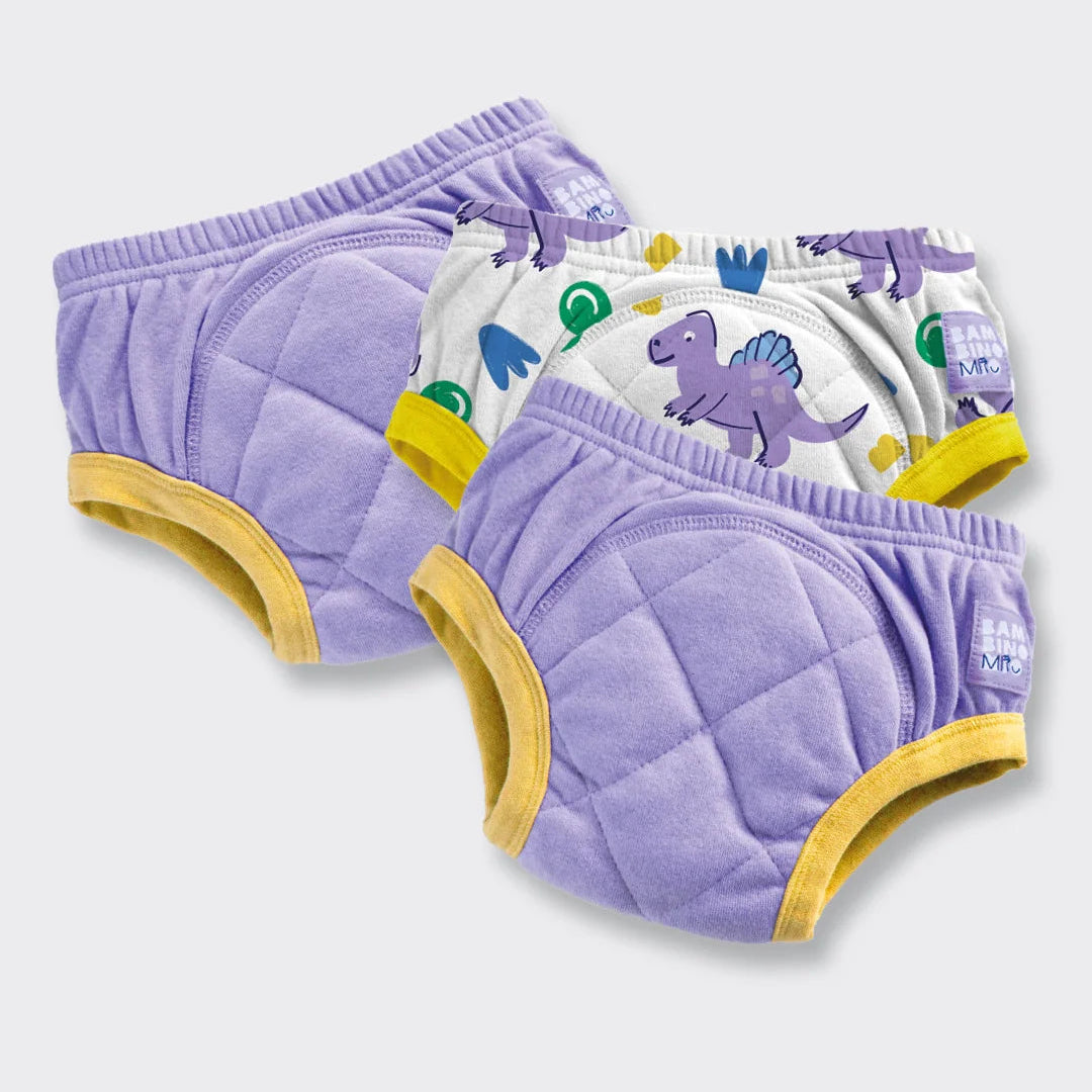 Reusable Potty Training Pants - 3 Pack