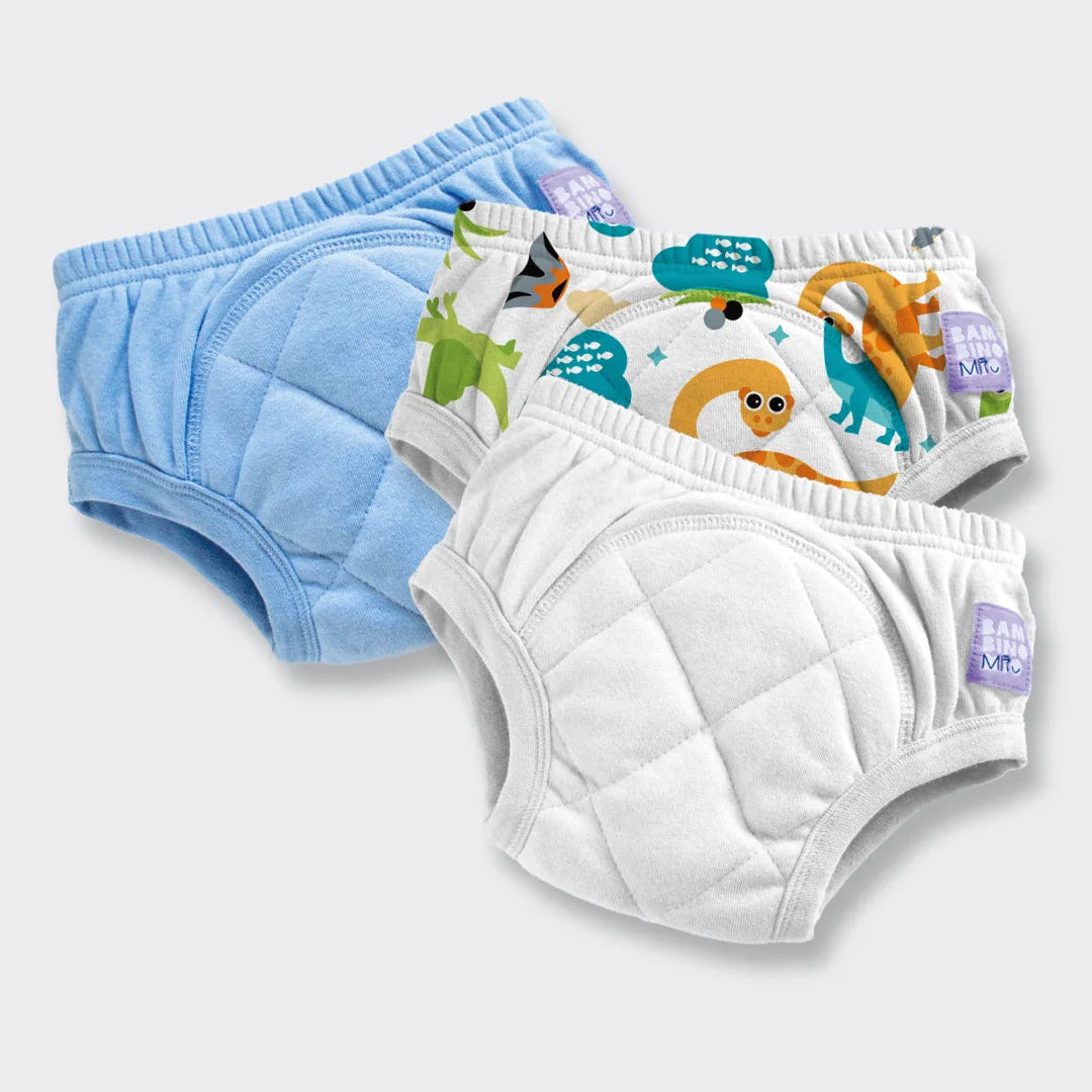 Reusable Potty Training Pants - 3 Pack