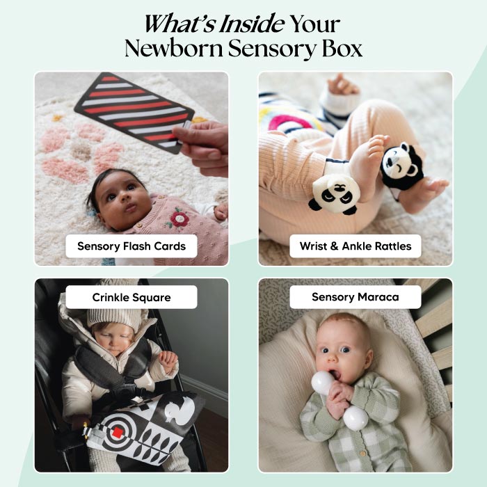Priya & Peanut Newborn Sensory Box (0-6+ Months)