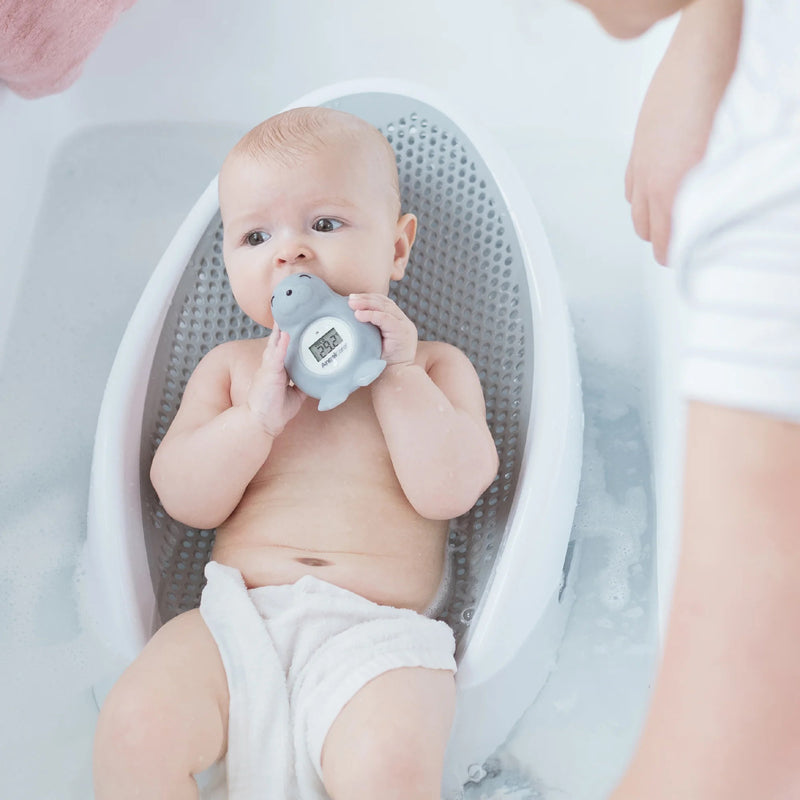 Angelcare Bath and Room Thermometer - Seal