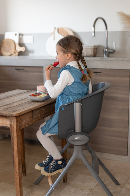 Béaba Up & Down Evolutive Highchair Dark Grey